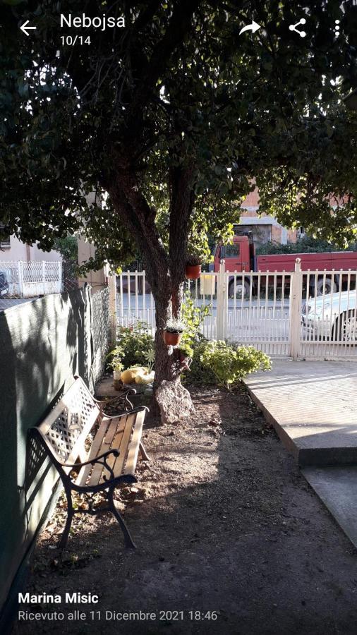 Apartman Milica Pozarevac Exterior photo