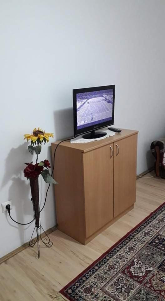 Apartman Milica Pozarevac Exterior photo