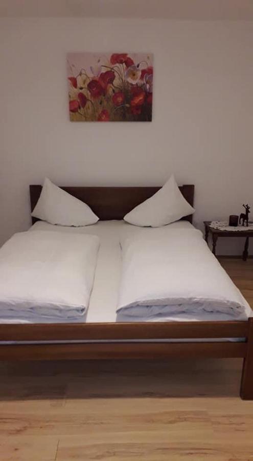 Apartman Milica Pozarevac Exterior photo