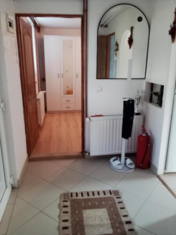 Apartman Milica Pozarevac Exterior photo