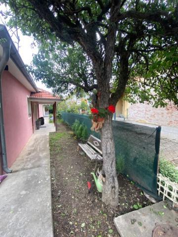 Apartman Milica Pozarevac Exterior photo